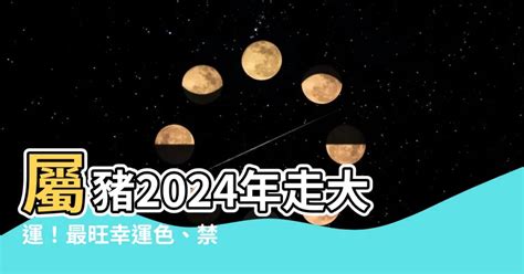 屬豬的幸運色|【豬幸運色】屬豬者2024「大吉幸運色」大公開！增強運勢、趨。